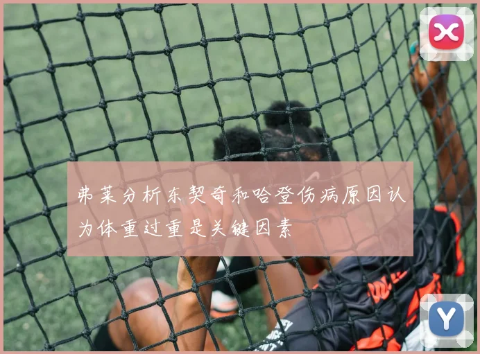 弗莱分析东契奇和哈登伤病原因认为体重过重是关键因素